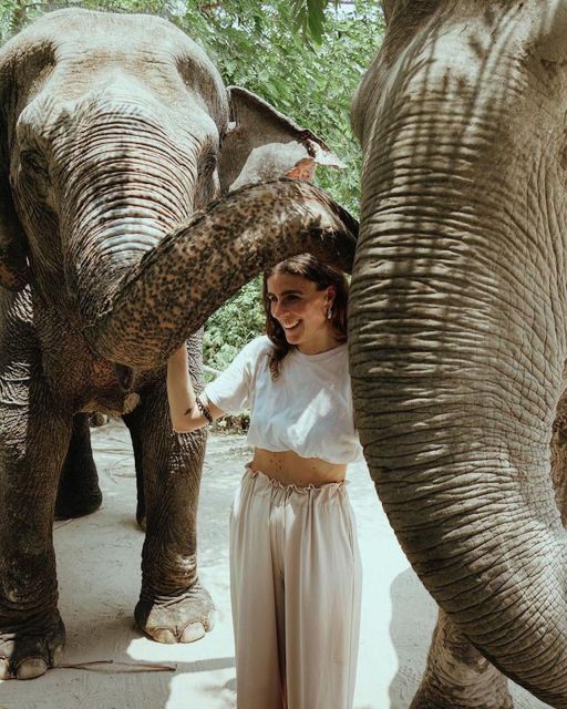 Kulen Elephant Forest Siem Reap in Small Group - Who should book this experience?