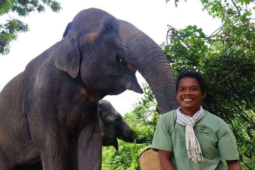 Kulen Elephant Forest Siem Reap in Small Group - Your briefing and first look at the elephants
