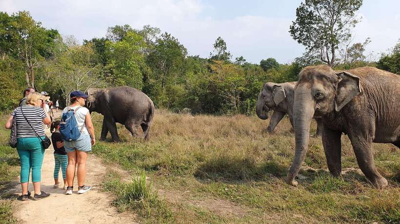 Kulen Elephant Forest & Tonlesap Lake - Key points to know before you book