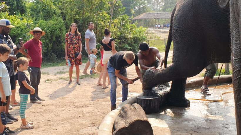 Kulen Elephant Forest & Tonlesap Lake - Who should choose this experience?