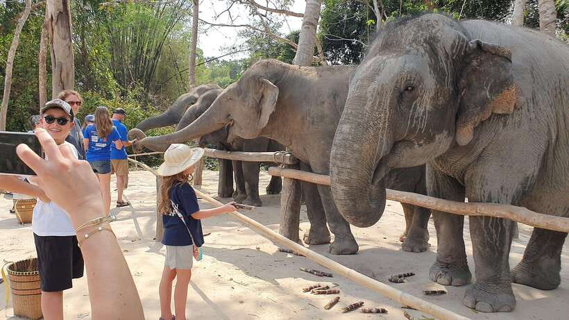 Kulen Elephant Forest & Tonlesap Lake - What the drive from Siem Reap adds