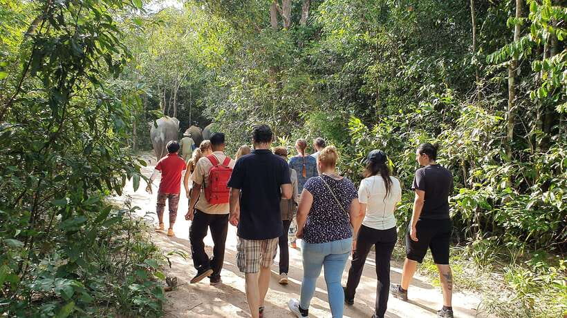 Kulen Elephant Forest & Tonlesap Lake - Continuing to Kompong Phluk on Tonle Sap Lake