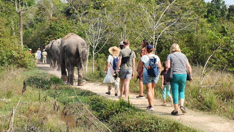 Kulen Elephant Forest & Tonlesap Lake - What to bring and what to expect