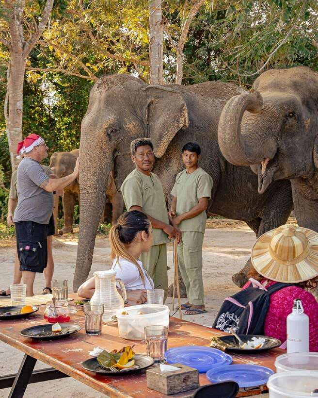 Kulen Elephant Forest & Tonlesap Lake - The 2-kilometer walk through the jungle