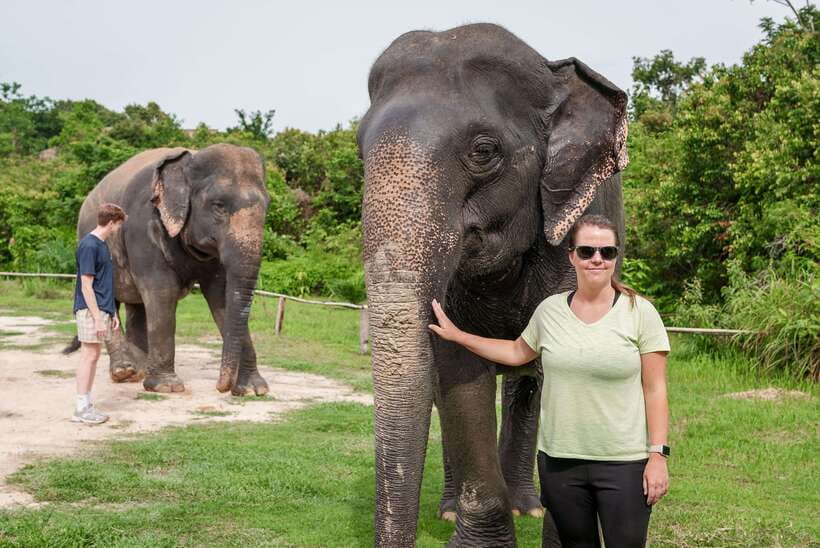 Kulen Elephant Forest Tour with Hotel Pick-up & Drop off - Key points to know before booking