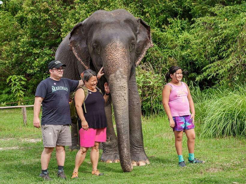 Kulen Elephant Forest Tour with Hotel Pick-up & Drop off - Preparing rice cakes and meeting the herd