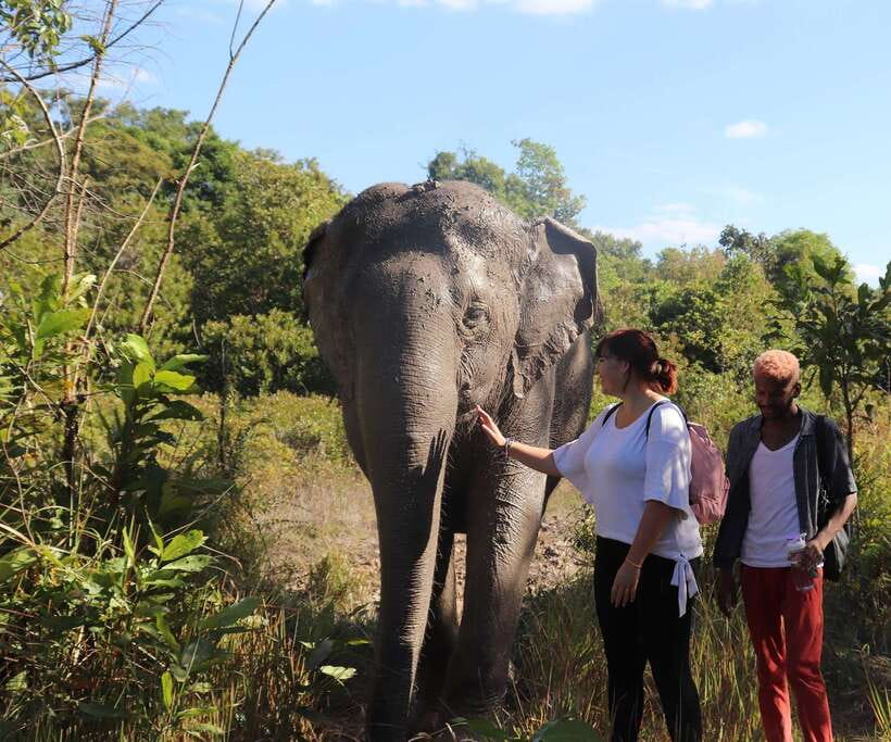 Kulen Mountain Day Trip with Picnic & Kulen Elephant Forest - The 7:30 AM ride through rural Cambodia
