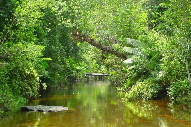 Kulen National Park Ticket - The River of 1000 Lingas adds ancient detail