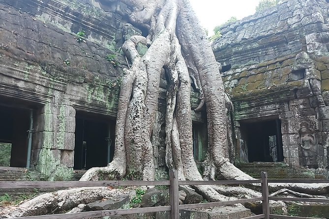 One day Angkor temple tour with private driver - A flexible route is the tour’s biggest advantage