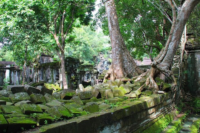 One day normal Angkor tour - Starting at 7:30 AM from Siem Reap