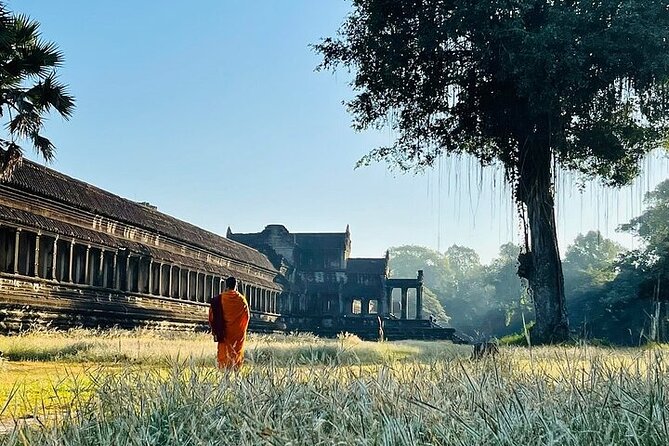One Full Day Private tour of Angkor Wat, Ta Prohm, Angkor Thom & Banteay Srie - Ta Prohm, where the jungle takes part