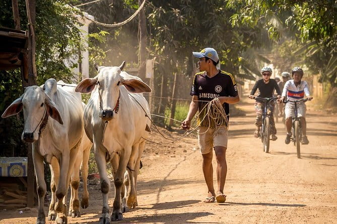 Oudong Temples & Phnom Prasith Private Tour from Phnom Penh - Walking through Oudong, Cambodia’s former capital