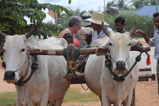 Ox-cart Culture Tour, Countryside Experince in Siem Reap - Key Points at a Glance