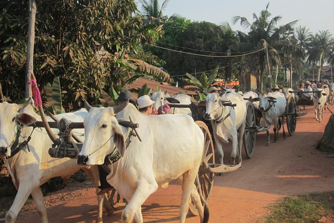 Ox-cart Culture Tour, Countryside Experince in Siem Reap - Leaving Siem Reap for Chreav Village