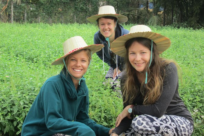 Ox-cart Culture Tour, Countryside Experince in Siem Reap - What the $45 Price Gets You
