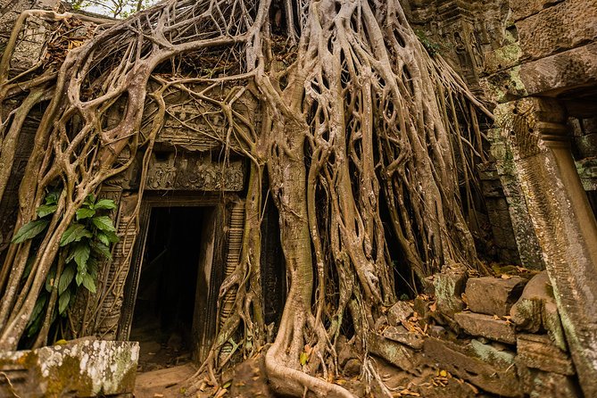 Personalised Angkor Wat Day Tour by an Air-conditioned Car - Five temples, one packed day in Angkor