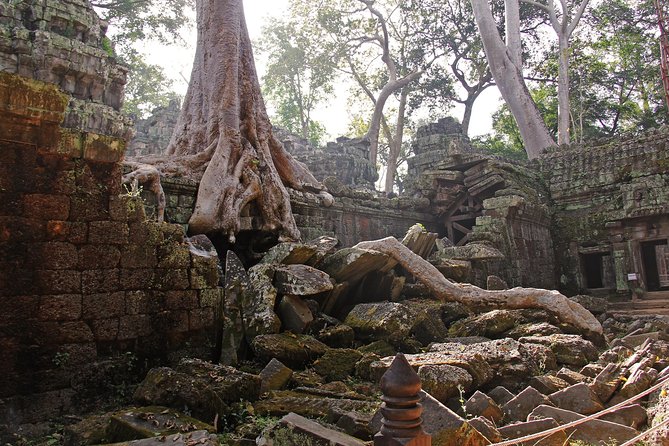 Personalised Angkor Wat Day Tour by an Air-conditioned Car - Baphuon: steep stairs and a physical test