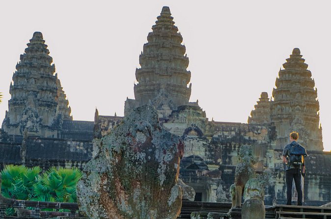 Personalised Angkor Wat Sunrise Tour by TukTuk - Meeting the trees at Ta Prohm