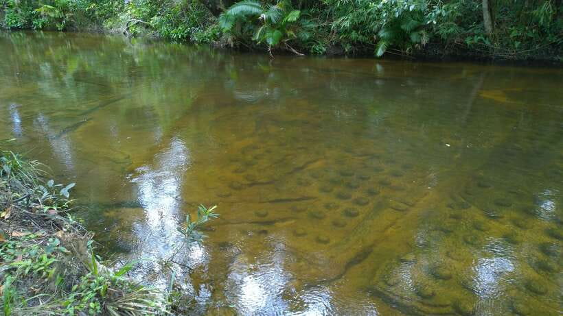 Phnom Kulen National Park Admission Ticket - What the $19 ticket really covers