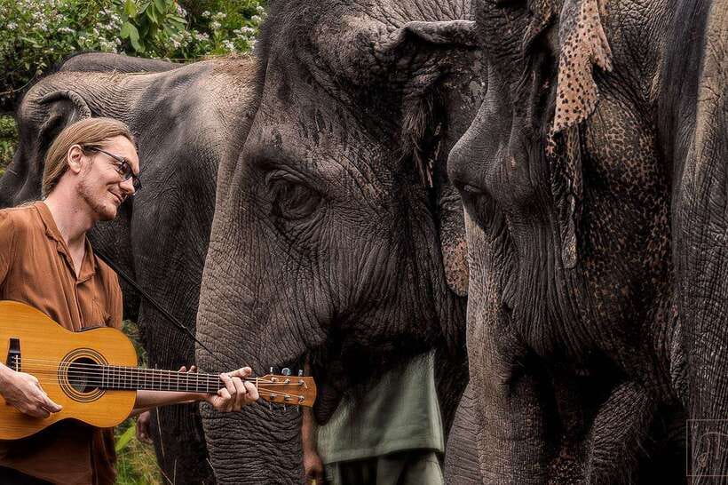 Phnom Kulen Park: Tour with Elephant Forest from Siem Reap - Key points to know before booking