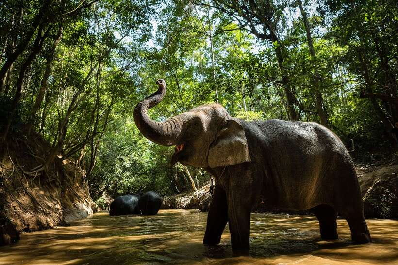 Phnom Kulen Park: Tour with Elephant Forest from Siem Reap - Phum Preah Dak and the taste of palm sugar