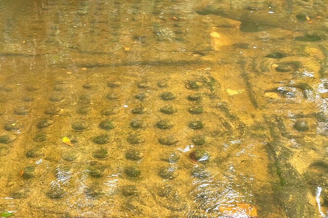 Phnom Kulen Waterfall and Banteay Srei Temple Tour from Siem Reap - The 1000 Lingas along the riverbed