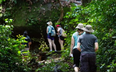 Phnom Kulen Waterfall & the Sacred 1000 Lingas (with Lunch)