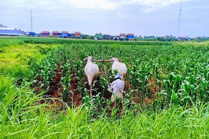 Phnom Penh Countryside Cycle Tour - From Phnom Penh hotel pickup to the Areyksat dock