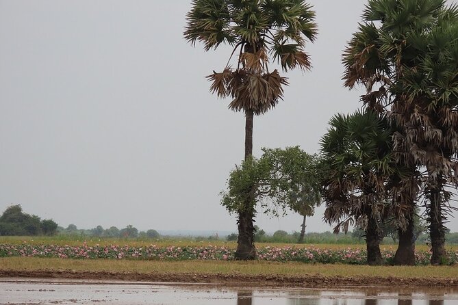 Phnom Penh Countryside Cycle Tour - Khmer snacks and lunch at a villager’s home