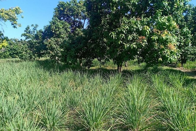Phnom Penh Countryside Cycle Tour - Is the $45 price good value?