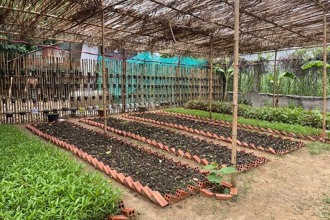 Phnom Penh’s Hands-On Khmer Cooking Class in the Countryside - Cooking chicken amok, plus two more Khmer dishes