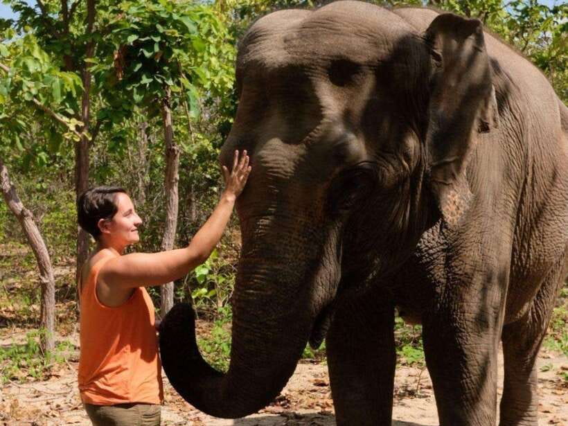 Phnom Tamao Wildlife Center & Buddha Kiri Cambodia Day Tour - Leaving Phnom Penh in a private car