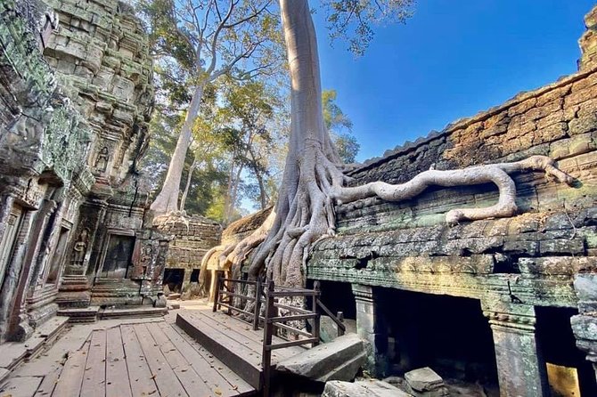 Preah Khan, Ta Prohm, Bayon Off Beaten Track - Ta Prohm: famous trees, crowded corners, and atmospheric ruins