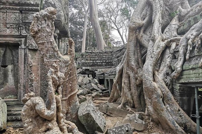 Preah Khan, Ta Prohm, Bayon Off Beaten Track - Preah Khan: a royal complex with room to wander