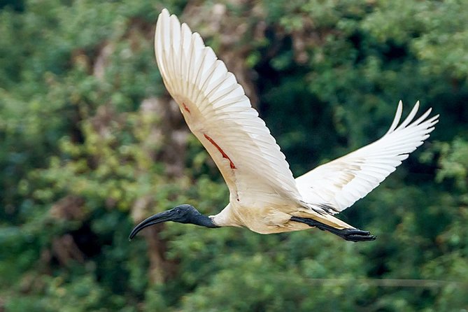 Prek Toal Birds Sanctuary and floating Village Private Day Tour - Leaving Siem Reap for Tonle Sap