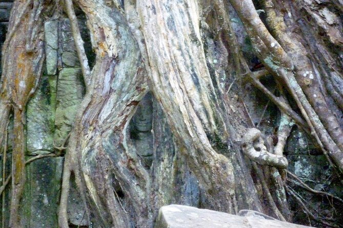 Private Angkor Wat Day Tour - Best of Angkor - Ta Nei, a smaller temple away from the main route