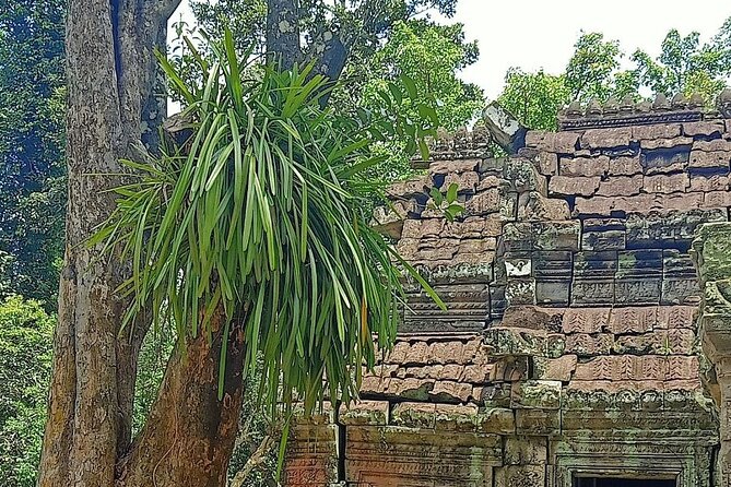 Private Angkor Wat Guided Sunset Tour - The royal terraces add a quieter change of pace