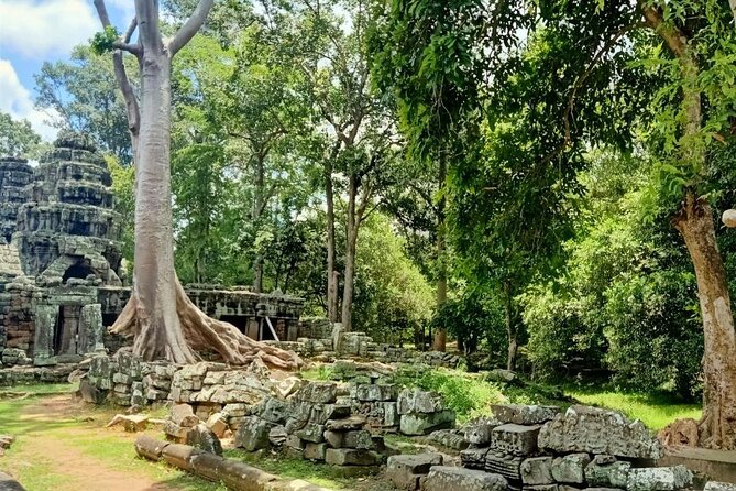 Private Angkor Wat Guided Sunset Tour - What the private format really gives you