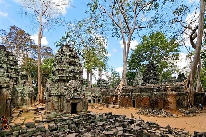 Private Angkor Wat Tour from Siem Reap - Ta Prohm under the jungle roots