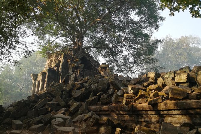 Private Beng Mealea Temple Tour – Hidden Jungle Ruins - What makes the private format worth considering