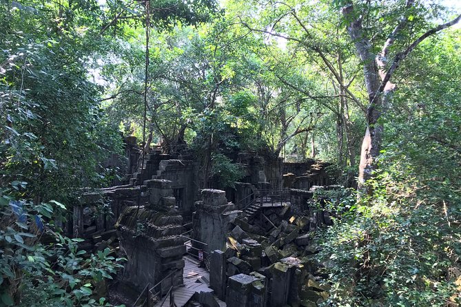 Private Beng Mealea Temple Tour – Hidden Jungle Ruins - The best reasons to book this experience