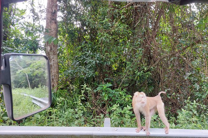 Private Bokor tours by Rickshaw/SUV Car - Bokor Hill Station and the Old Hotel