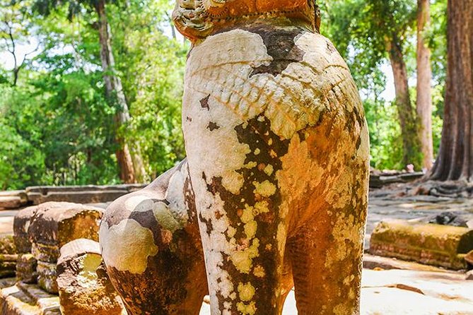 Private Full-Day Angkor Temple and Sunset Viewing with Lunch - Ta Prohm and the trees that took over