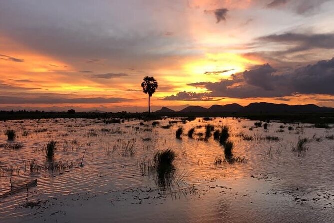 Private Full Day Tuk Tuk Tour in Battambang - Phnom Sampeau combines views with painful history