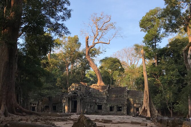 Private Guided Angkor Wat Tour by Lady Tuk Tuk with Monk Blessing - Bayon and its many stone faces