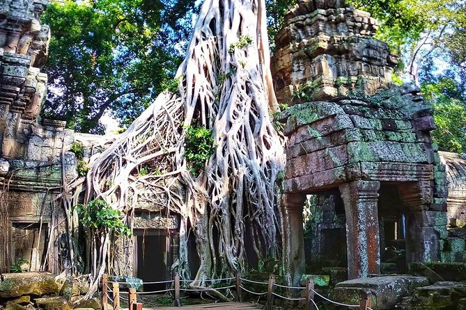 Private Guided Tours-Sunrise Angkor Wat, Ta Prohm, Bayon and more - What the private format is worth at $78