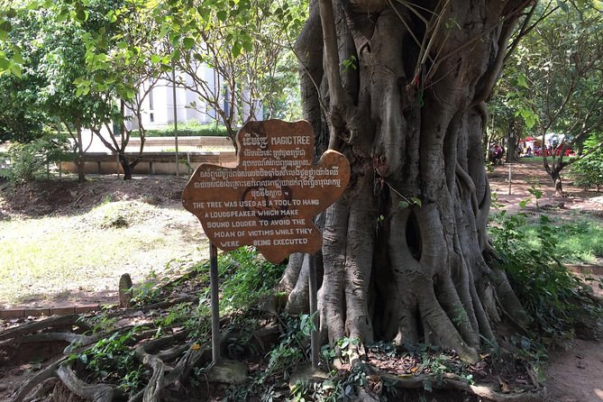 Private Half Day To Killing Field & S21 Genocidal Museum in Phnom Penh - The value of having a private guide