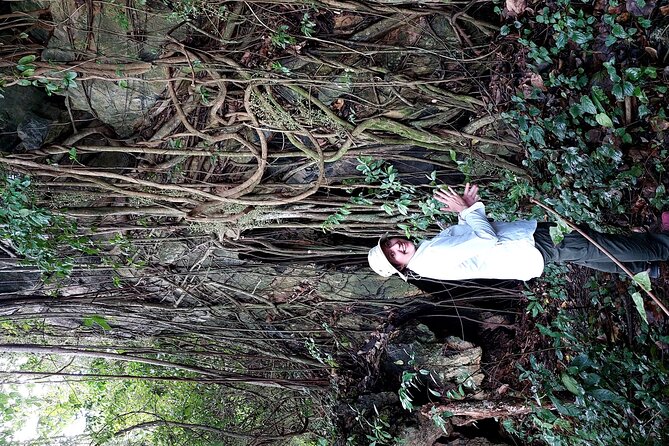 Private Kampot Countryside Tour & Pepper farm, Kep/Crab Market - La Plantation or Bo Tree Farm: Kampot pepper in context