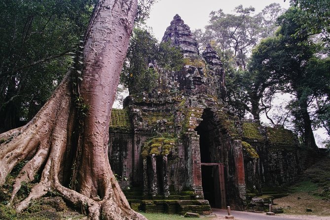 Private One Day Trip-The Best Experience in Siem Reap - Ta Prohm and its Tomb Raider fame