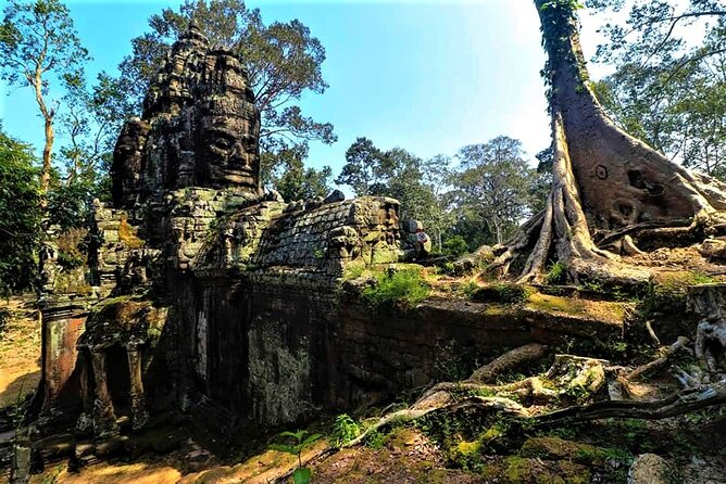 Private Siem Reap 4 Days: Full Exploration of the Angkor Complex - Ta Nei and Ta Prohm: two very different jungle stops